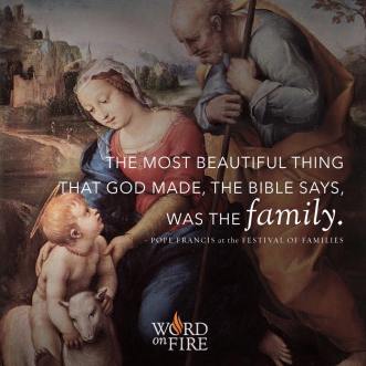 12072532_955002054538922_6950686821150321417_n