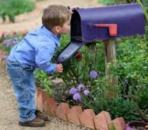 mail